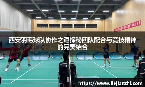 西安羽毛球队协作之道探秘团队配合与竞技精神的完美结合